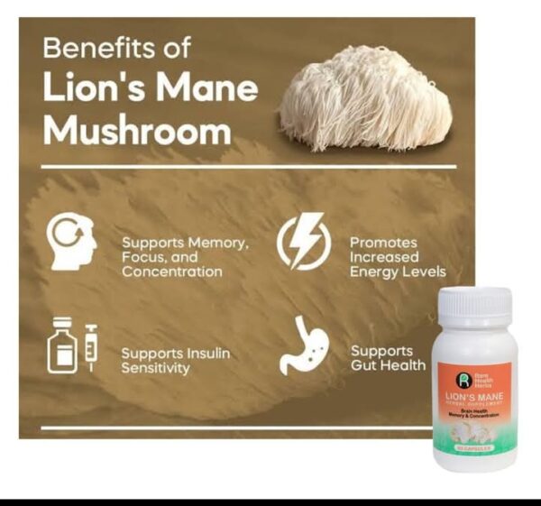 lion Mane Mushroom