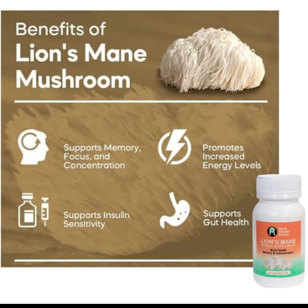 lion Mane Mushroom